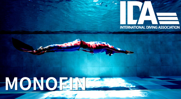 MONOFIN DIVER